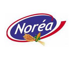 NOREA